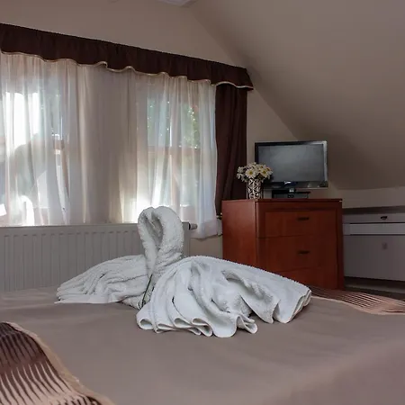 Leanyka Vendeghaz Гостевой дом 4*
