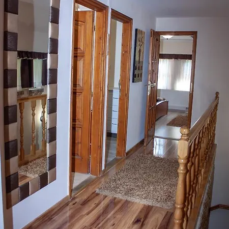 Guest house Leanyka Vendeghaz 4*