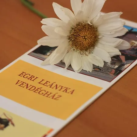 Guest house Leanyka Vendeghaz